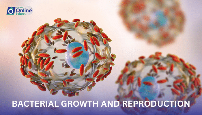 Lesson 08: Bacterial Growth and Reproduction